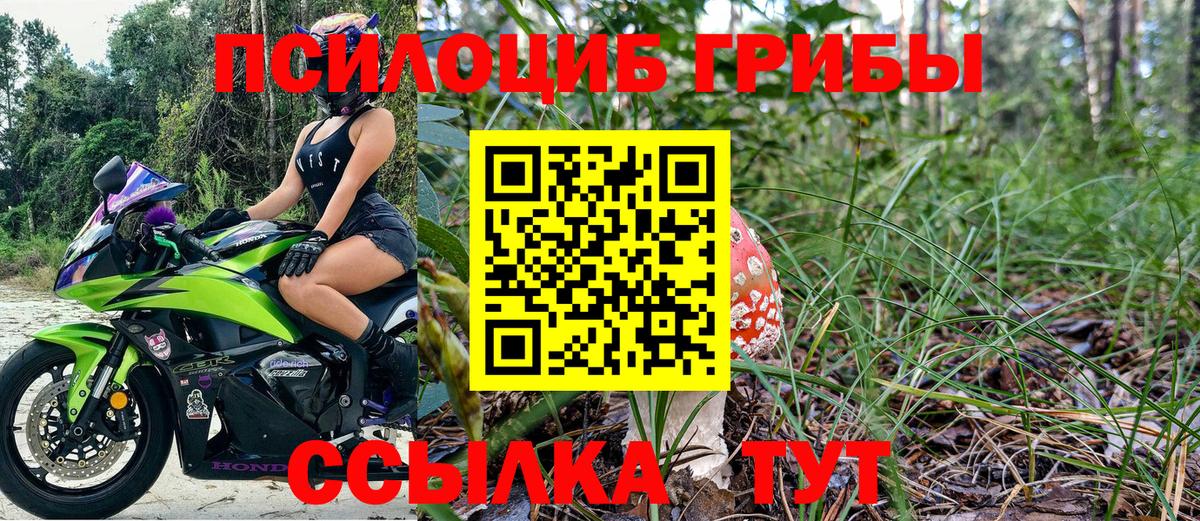 Галлюциногенные грибы мухоморы Камышлов