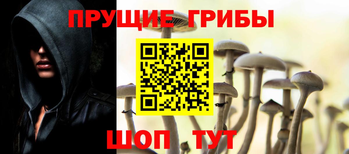 Псилоцибиновые грибы Magic Shrooms  Вход с VPN  Камышлов  Галлюциногенные грибы мухоморы 