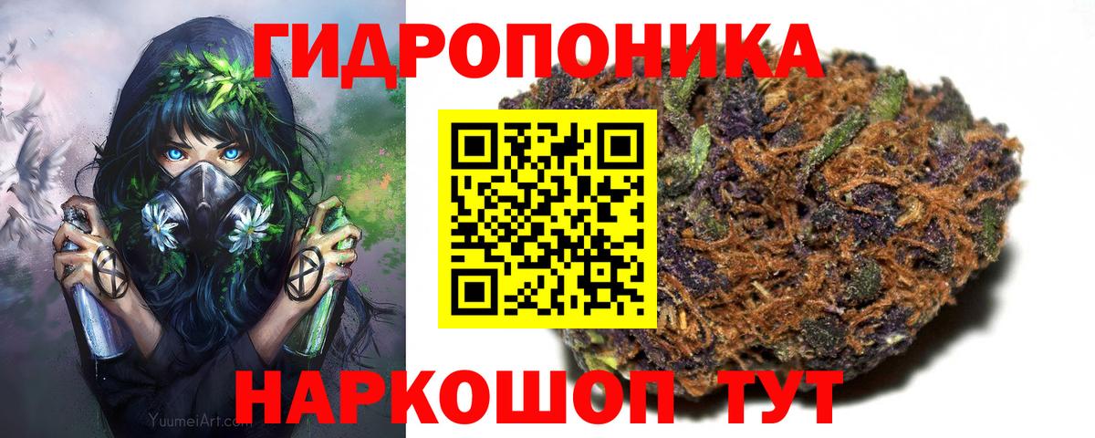 Марихуана OG Kush Камышлов